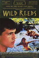 Wild Reeds movie poster