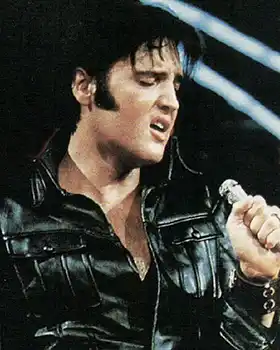 rock vocalist Elvis Presley