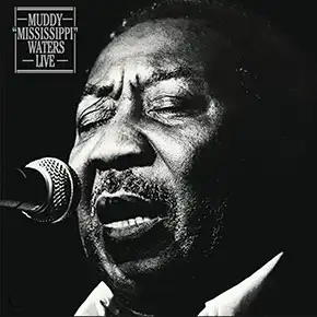 Muddy 'Mississippi' Waters Live album cover