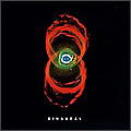 Binaural - Pearl Jam album cover
