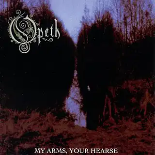 My Arms, Your Hearse album cover