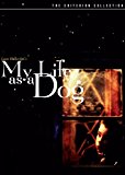 DVD cover for the movie My Life as a Dog