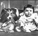 Image of baby and dog from the movie Rescued by Rover