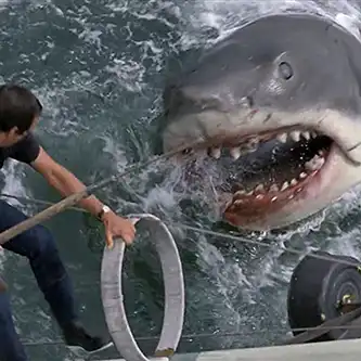 Scene from Jaws