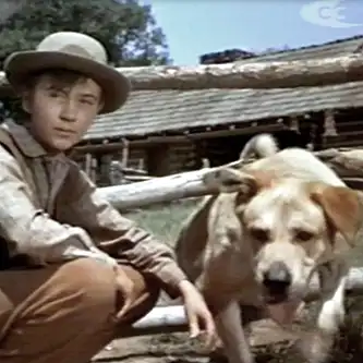 Scene from Old Yeller