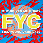 She Drives Me Crazy single cover