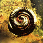 Nine Inch Nails - Closer single cover