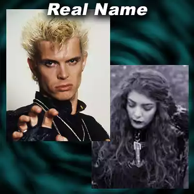 Singers Billy Idol and Lorde