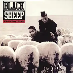 A Wolf In Sheep's Clothing album cover