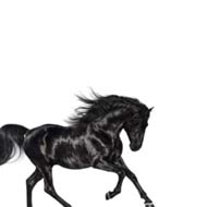 Old Town Road by Lil Nas X  single cover