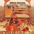 Fulfillingness' First Finale album cover
